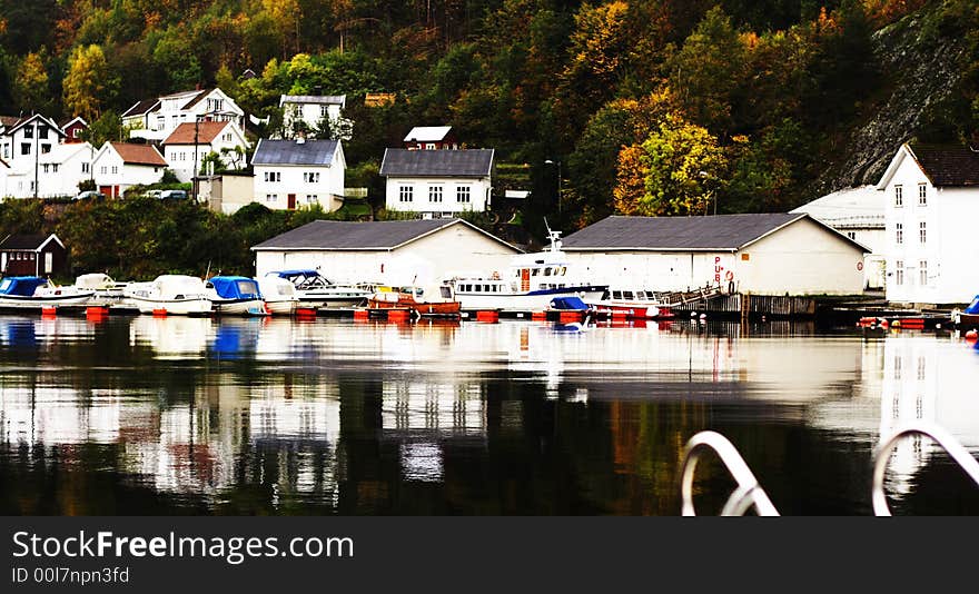 Norwegian Furth  Forest sea mountain