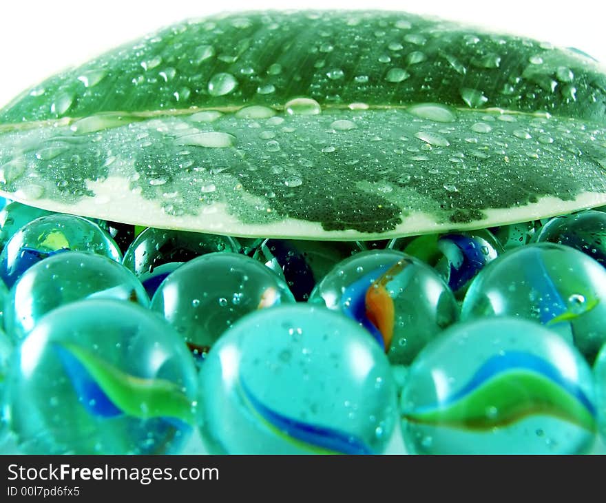 Composition from nature series: wet green leaf on glass balls