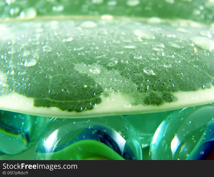 Composition from nature series: wet green leaf on glass balls