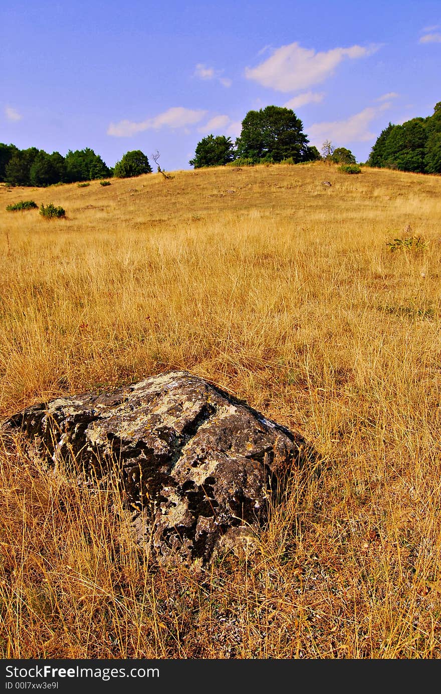 Stone in field landscape