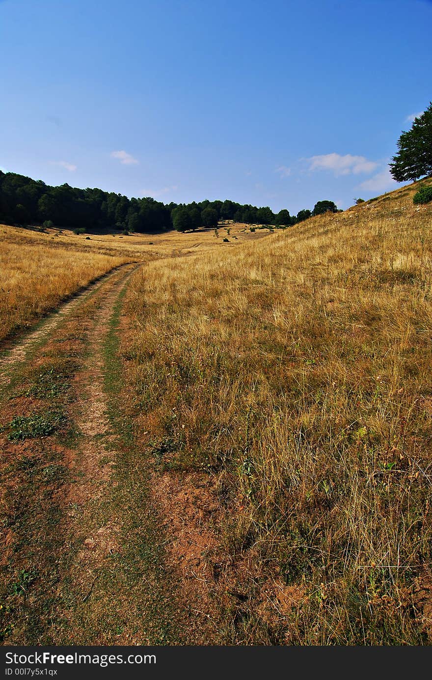 Stone in field landscape