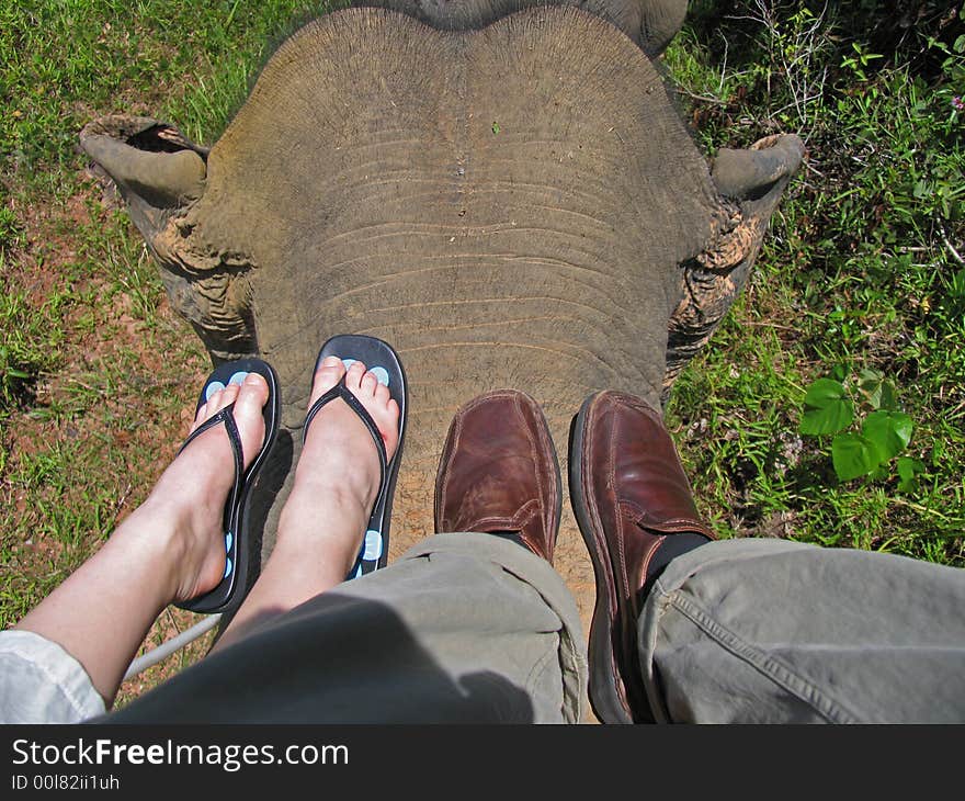 Elephant Ride