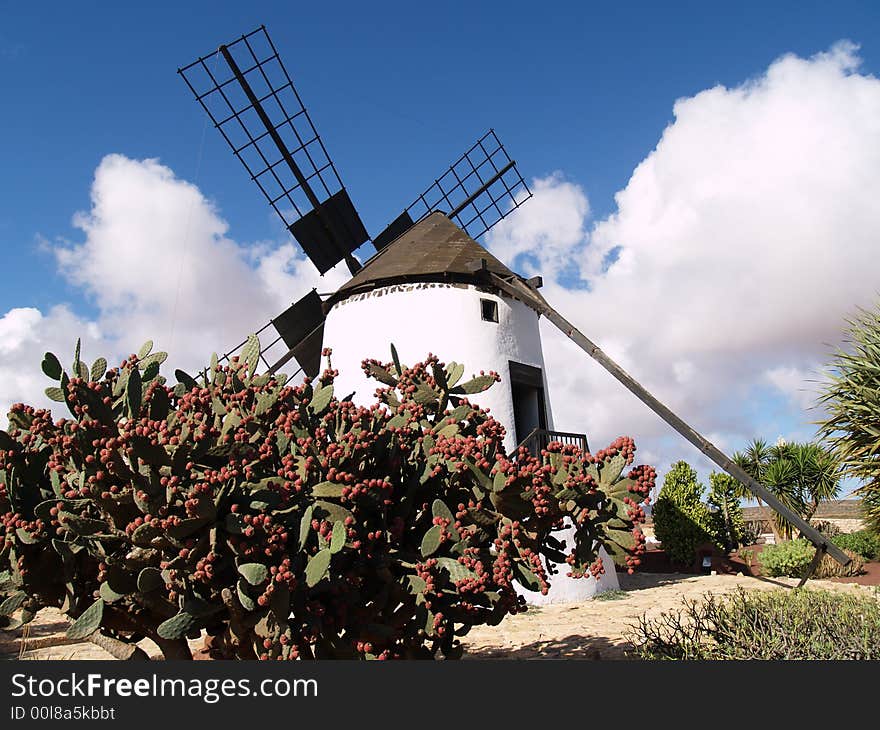 Flour mill