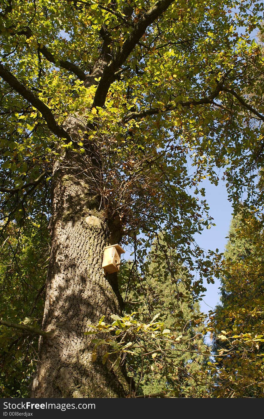 The Park In Krasiczyn.