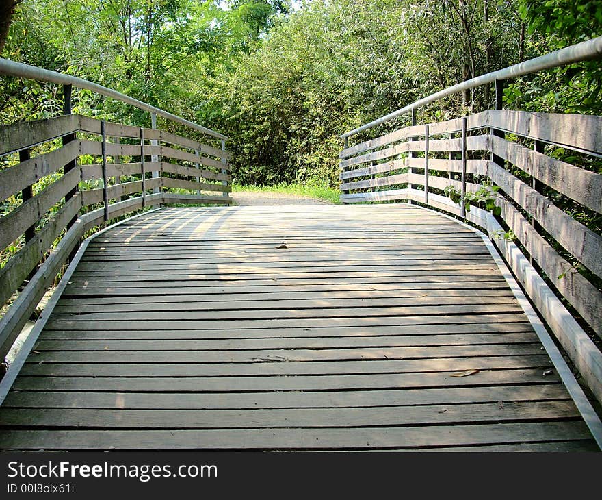 A bridge on a pond with a particular form in a big park. A bridge on a pond with a particular form in a big park