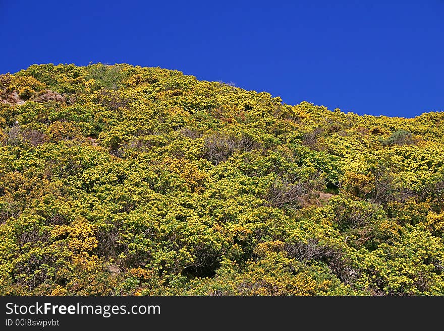 Bright landscape. Blue sky.