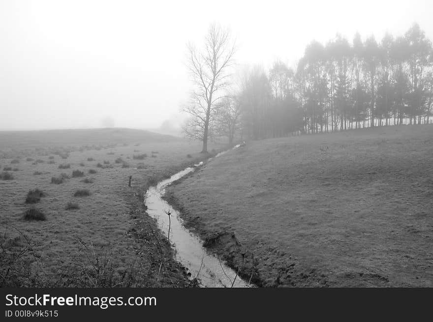 Farm paddock with stream on a foggy winter morning. Farm paddock with stream on a foggy winter morning.