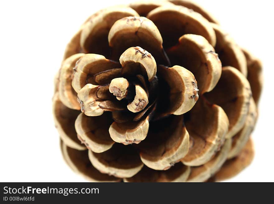 Cone isolated in white background