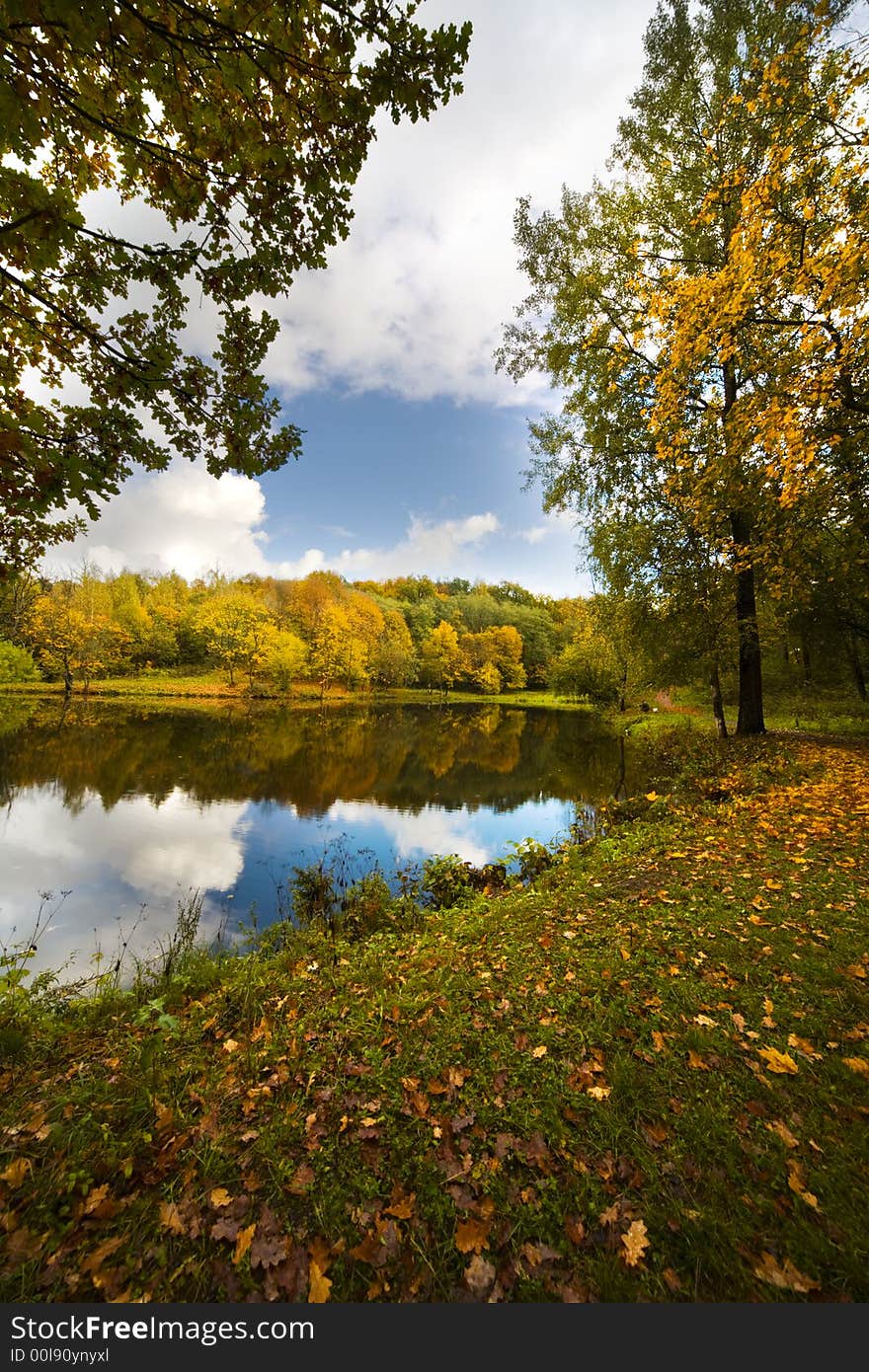 Golden autumn