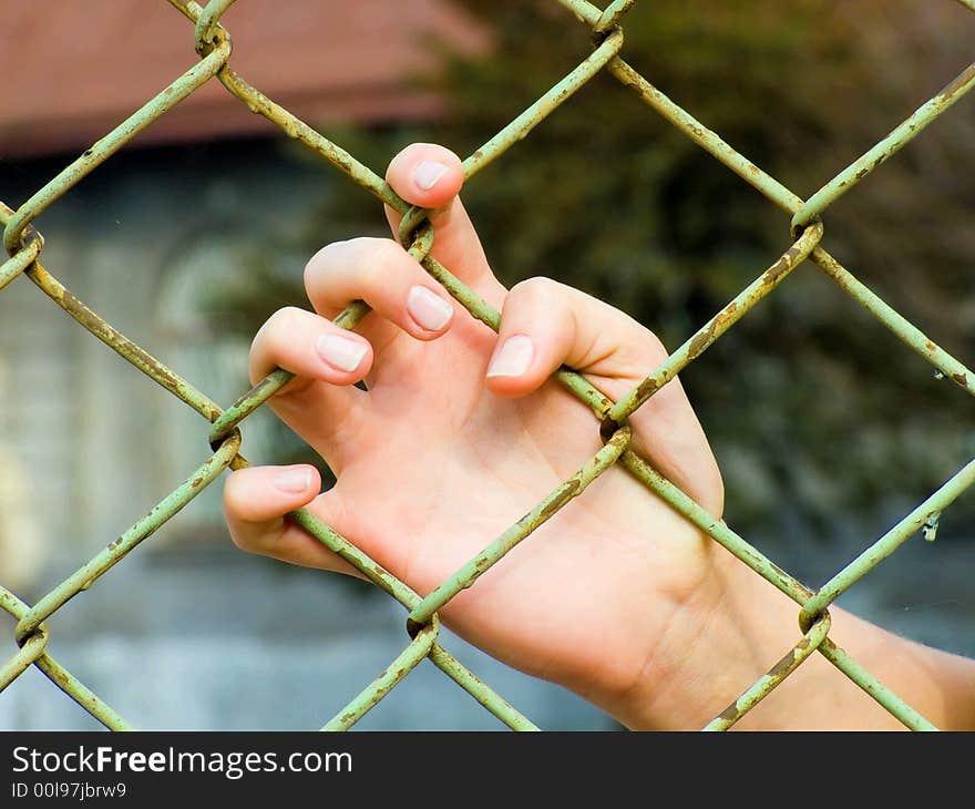 The palm of the young woman, she clings fingers to a grid