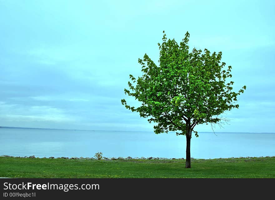 A peace riwerbank at the montreal of Canada. A peace riwerbank at the montreal of Canada.