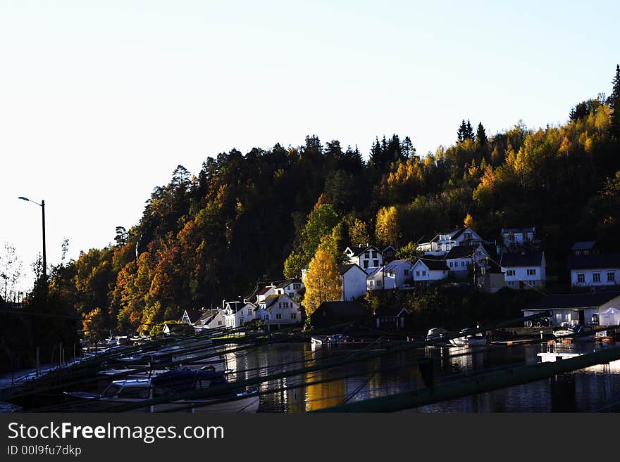 Norwegian Furth Forest sea mountain