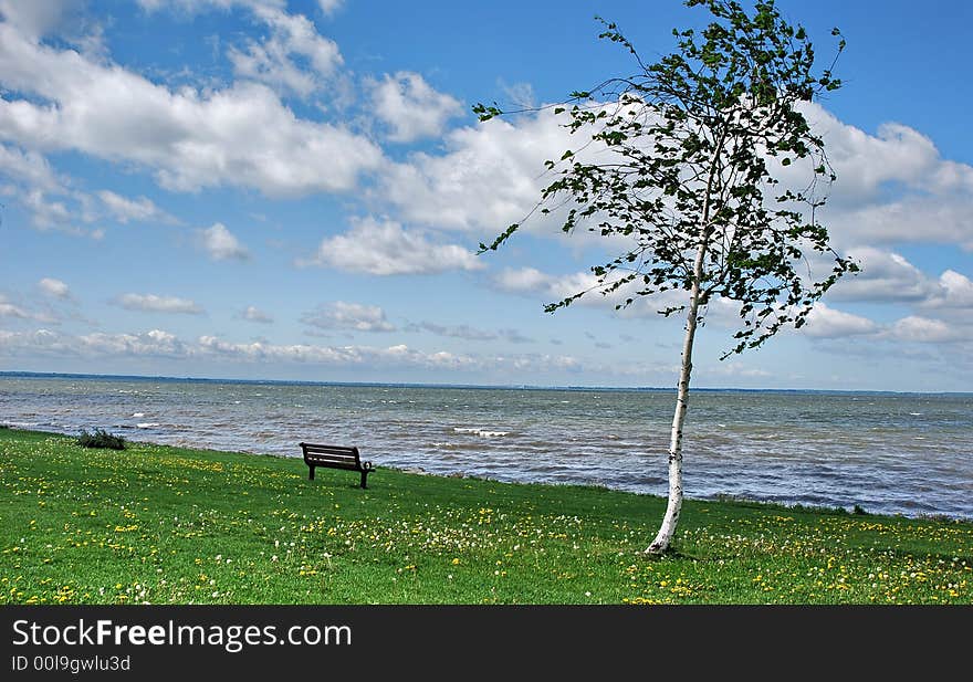 A peace riwerbank at the montreal of Canada. A peace riwerbank at the montreal of Canada.