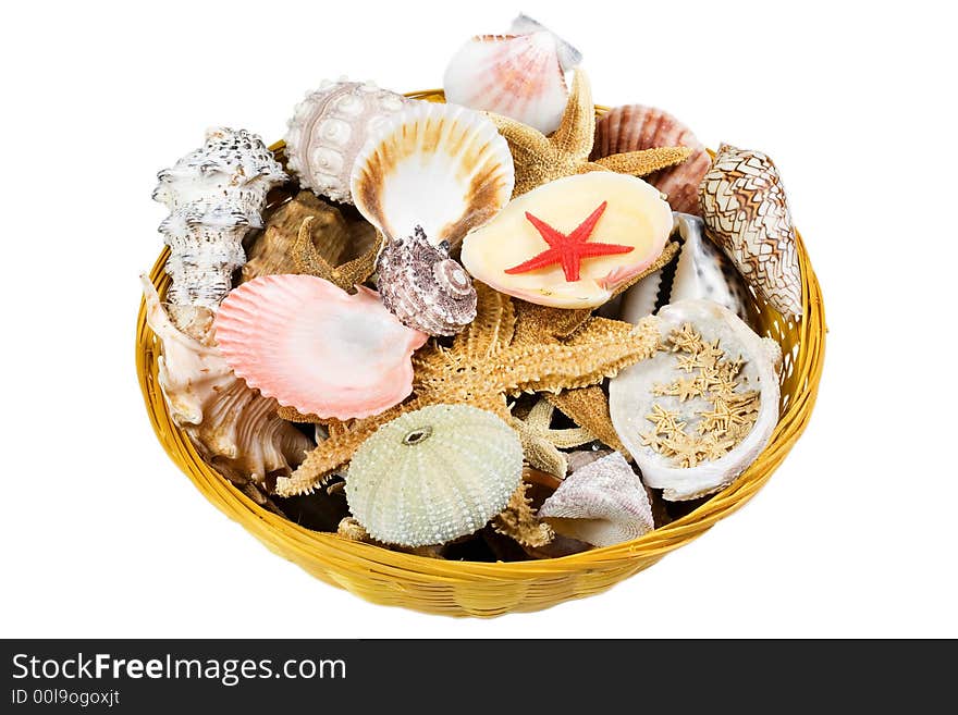 Basket full of shells