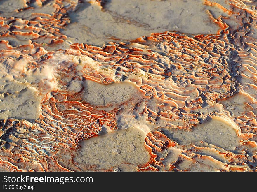 Natural figure from adjournment of calcium in water