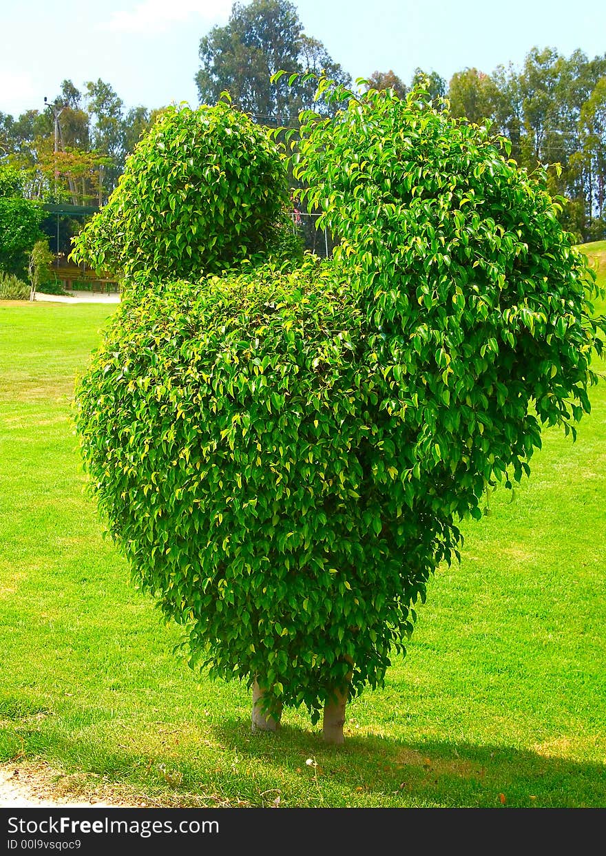 Decorative figure of the bird