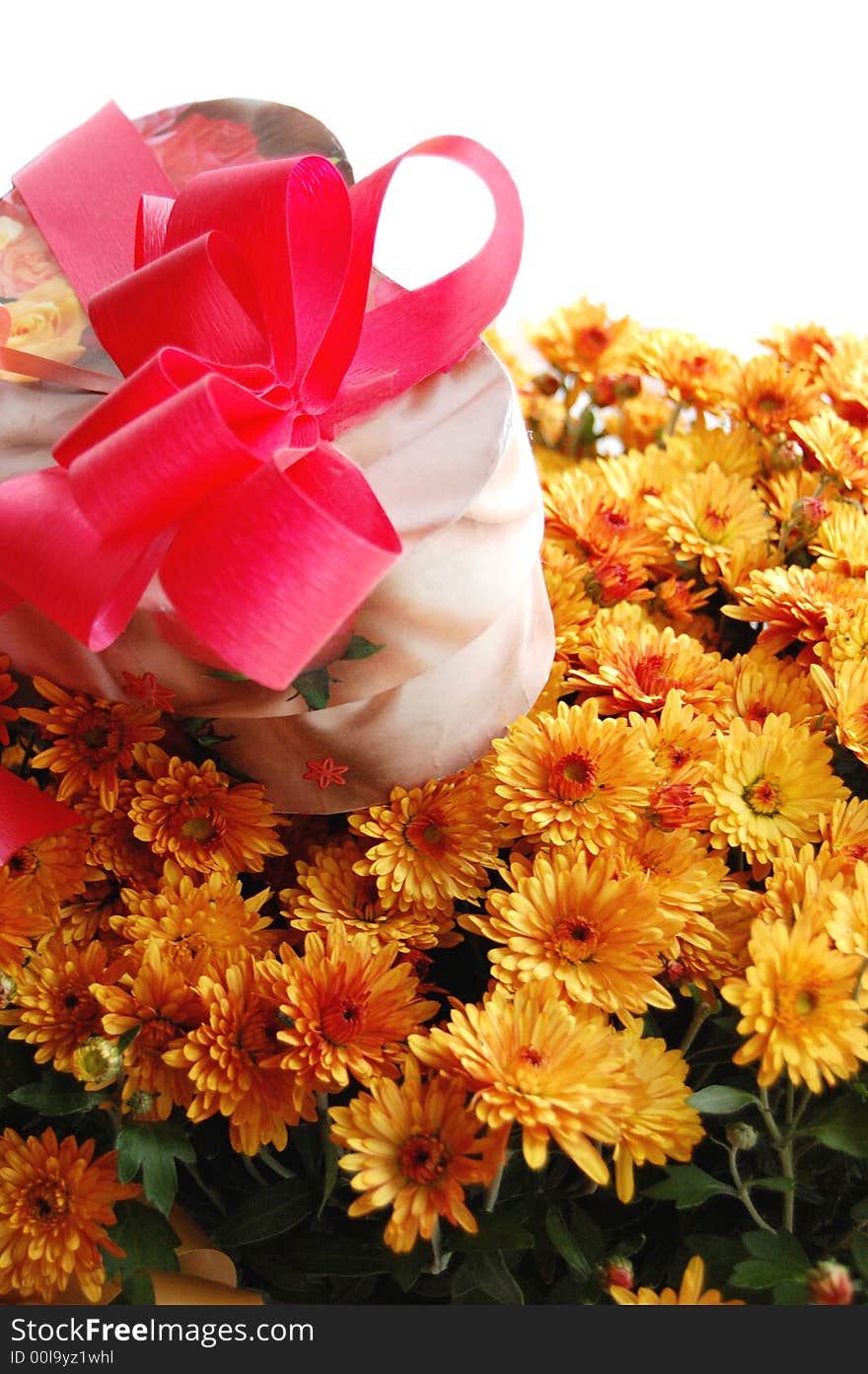 Present box with pink ribbon and bouquet of chrysanthemums. Present box with pink ribbon and bouquet of chrysanthemums