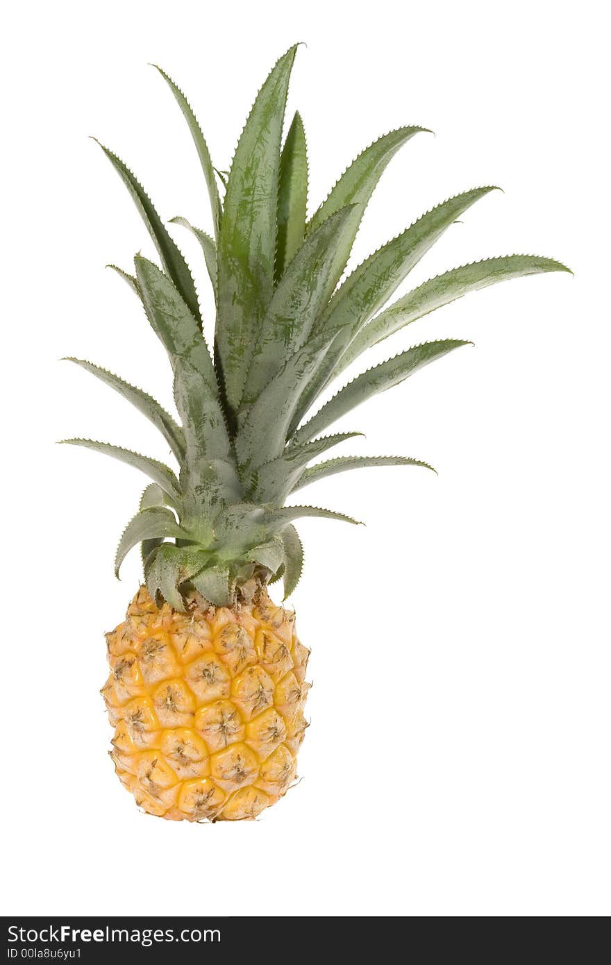 The Pineapple