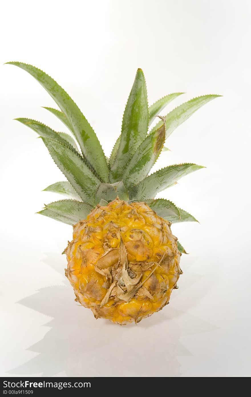 The Pineapple