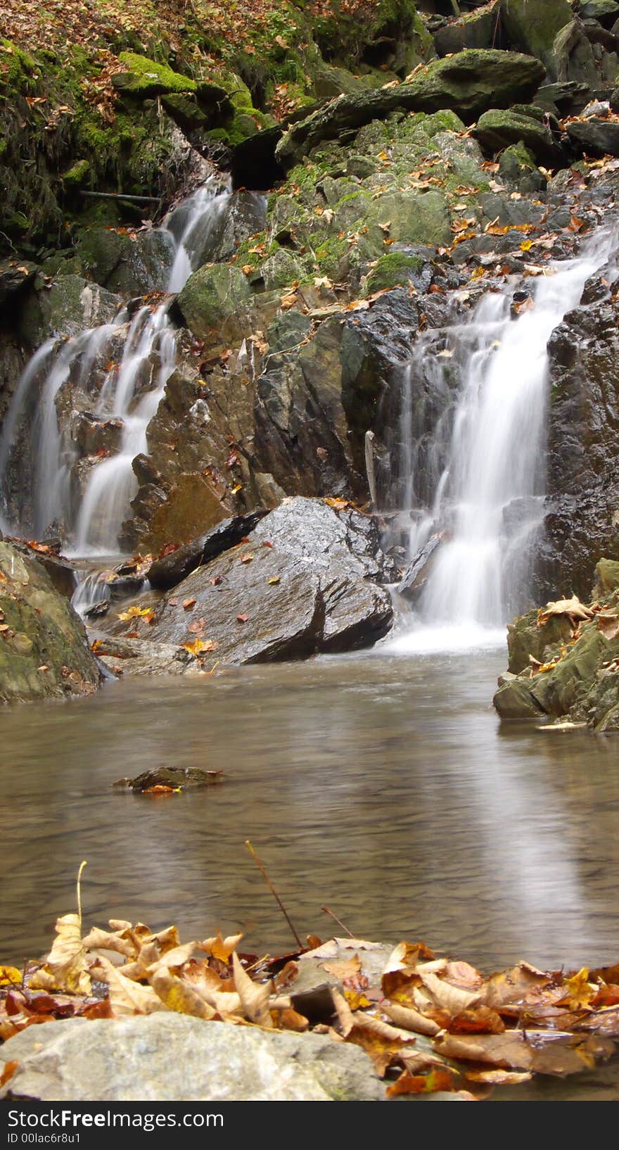 Small beck in a forest with a waterfall. Small beck in a forest with a waterfall