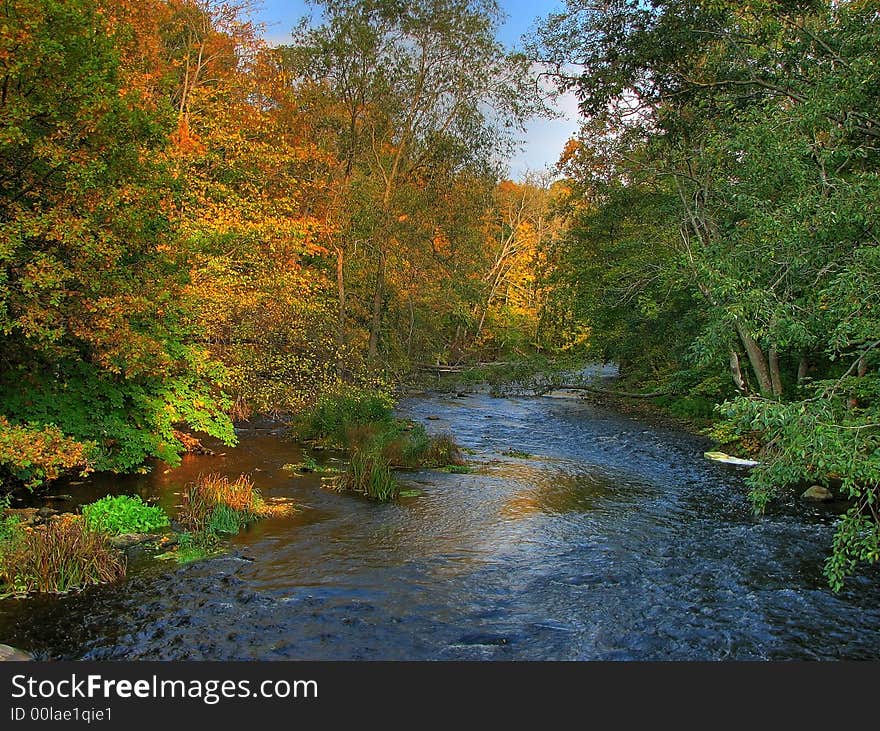 Colorful autumn river with trees red, green and yellow