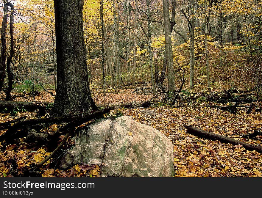 Starved Rock State Park, Il. USA. One of biggest parks in Midwest. Starved Rock State Park, Il. USA. One of biggest parks in Midwest.