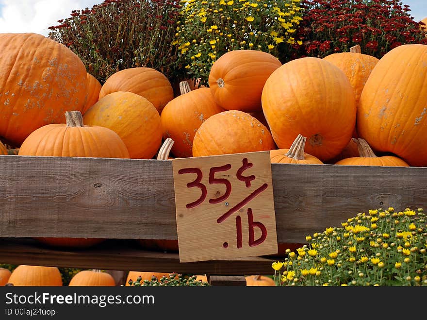 Pumpkins for Sale