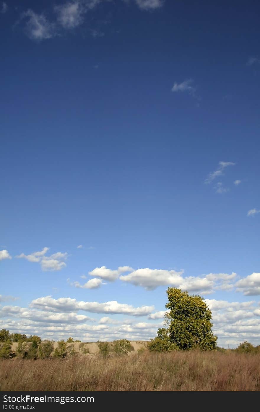 Lonely tree with clouds and blue sky background. Lonely tree with clouds and blue sky background