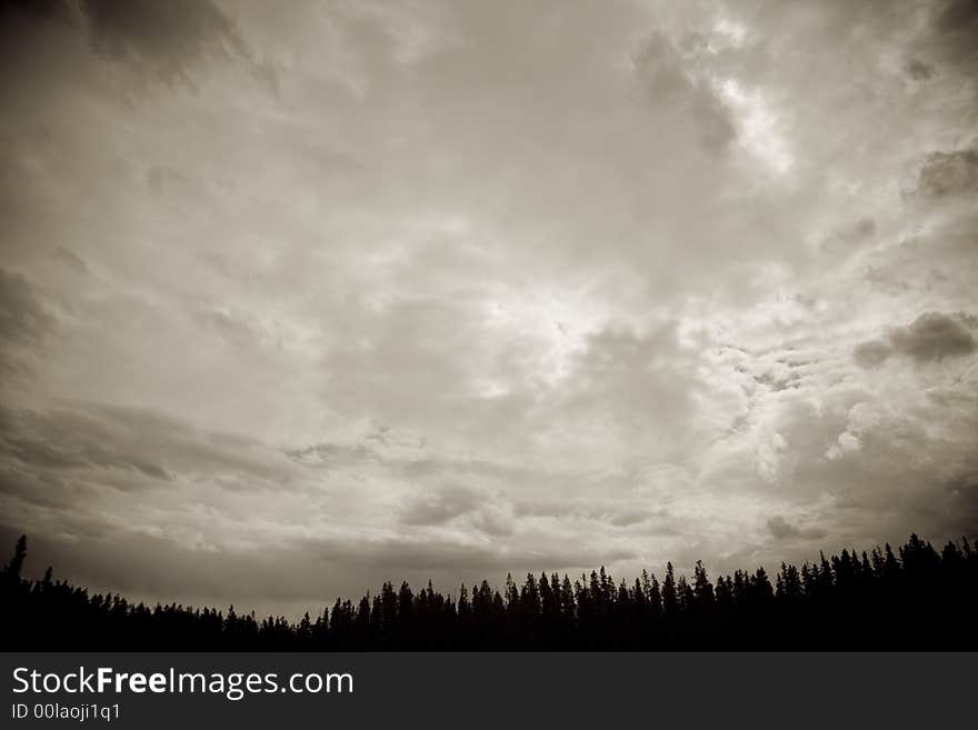 Leigh Lake in Wyoming