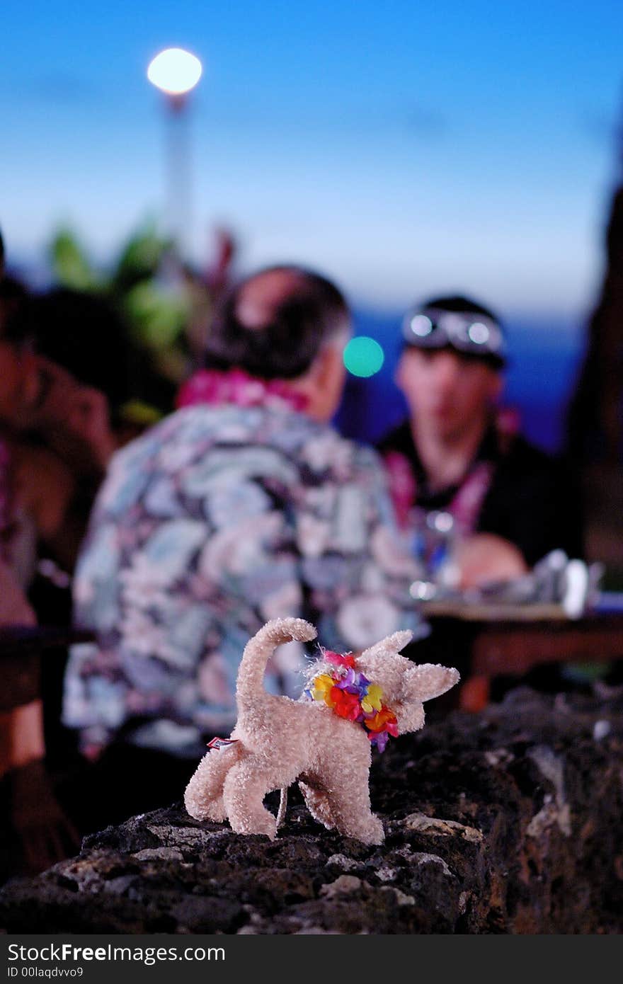 Cute toy dog during Maui Luau