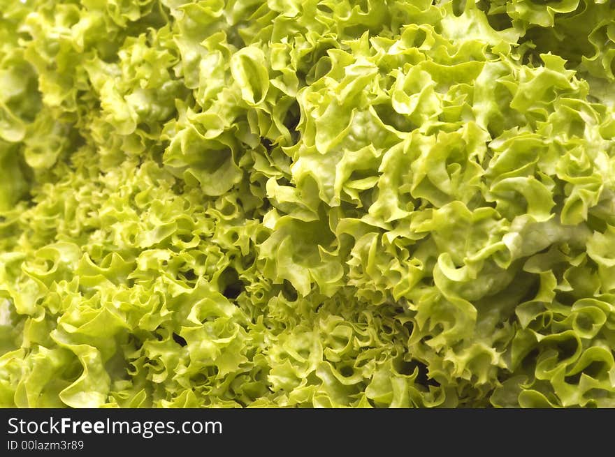 Fresh lettuce background green bio