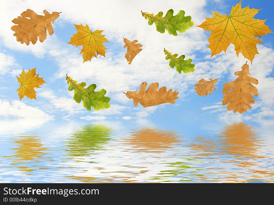 Multi-coloured autumn leaves on a background of the sky and their reflection in water.