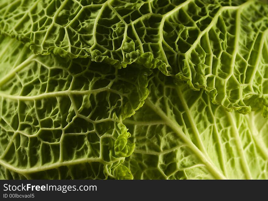 Kail/kail close-up leaf detail. Kail/kail close-up leaf detail