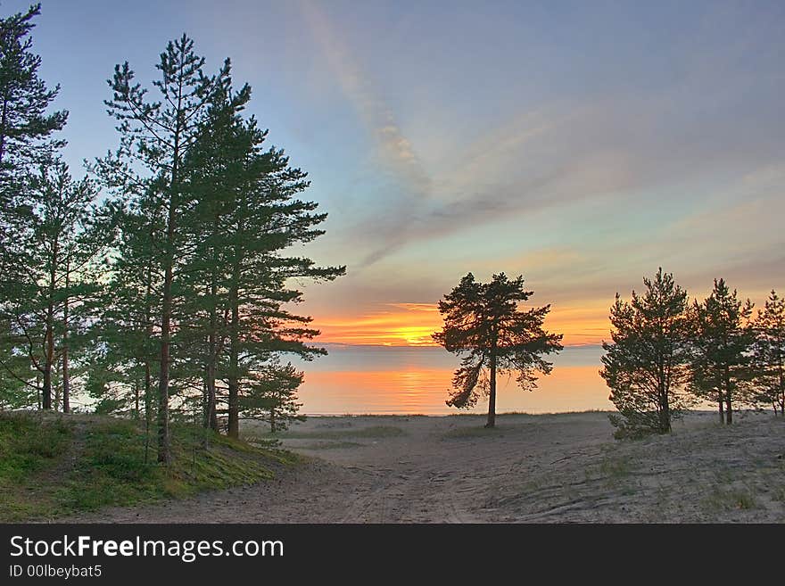 Summer landscape with sea sunset. Summer landscape with sea sunset