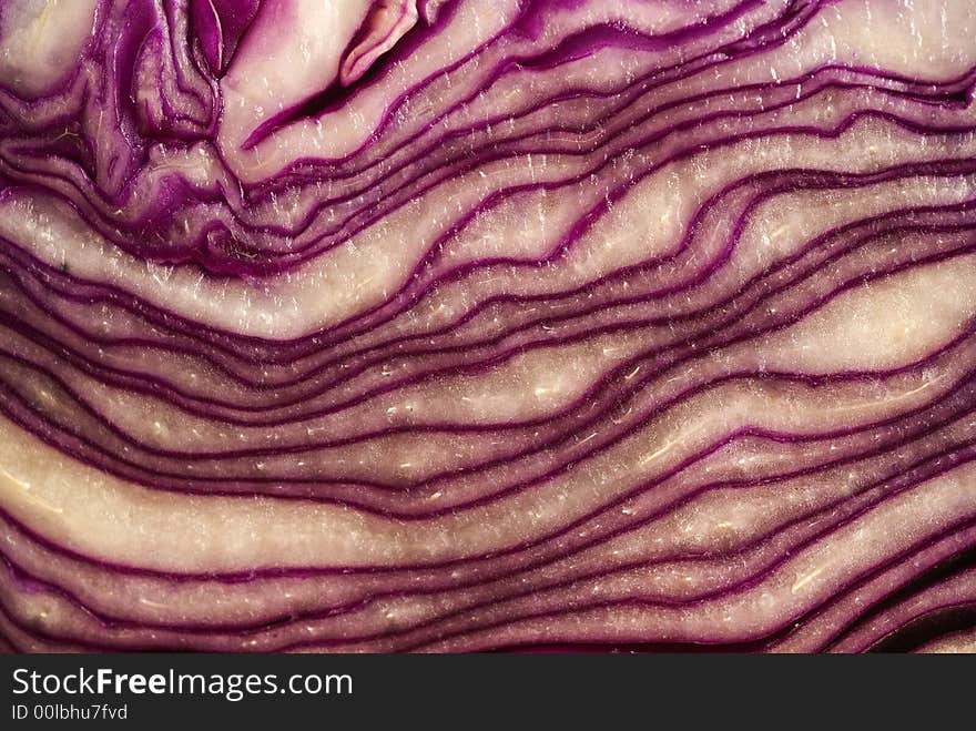 Red cabbage close-up detail