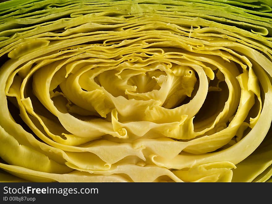 Young Green cabbage close-up