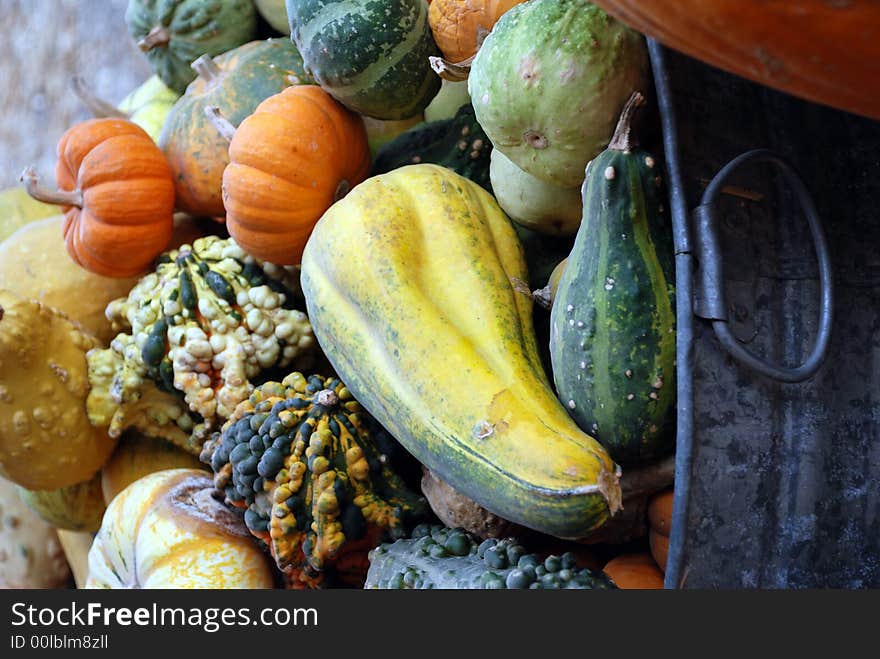 A metal bin filled with a variety of colorful gourds harvested in the fall. A metal bin filled with a variety of colorful gourds harvested in the fall.