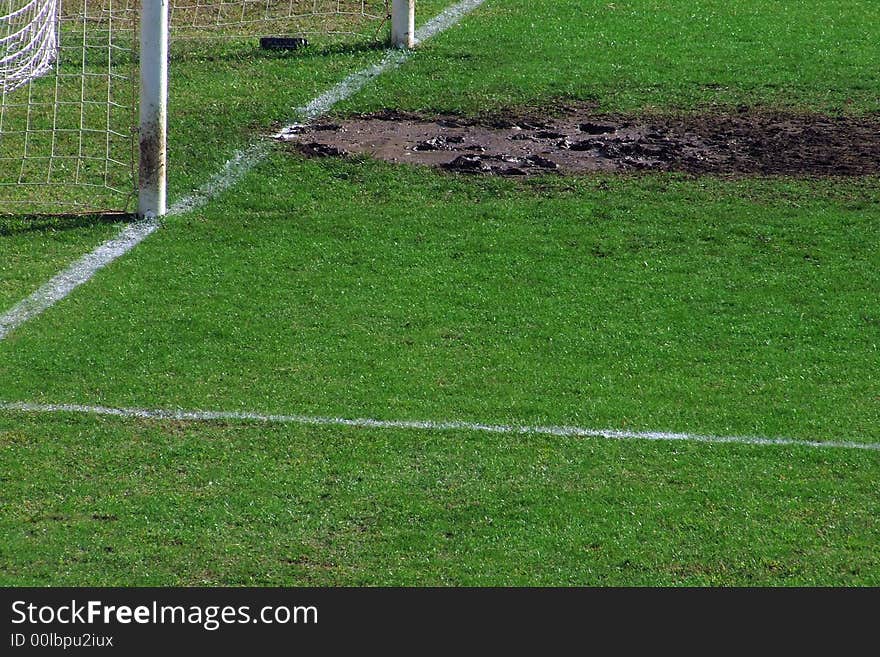 Grass and goal on soccer field