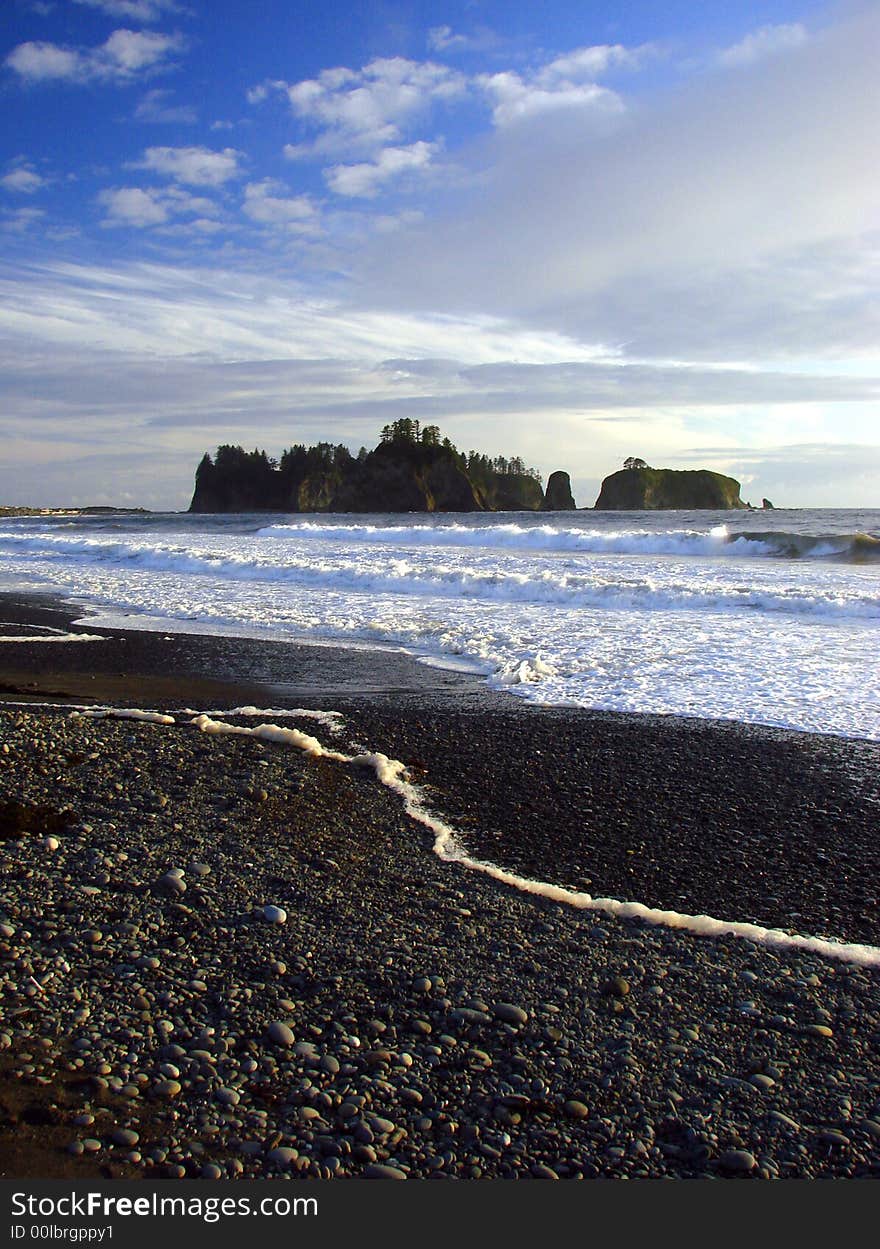 Beach, Olympic National Park