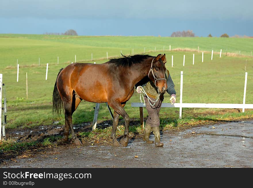 A man is walking with his horse. A man is walking with his horse