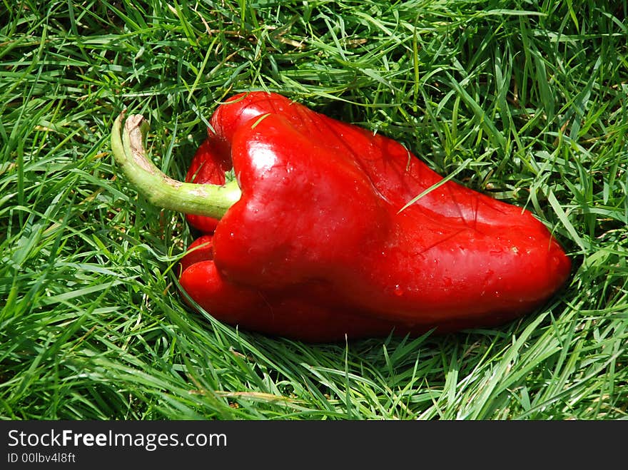 Red paprika on the grass