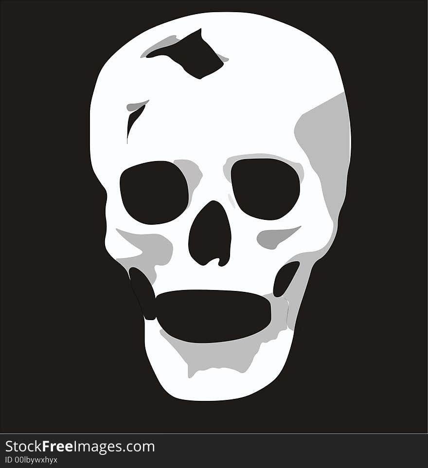 Vector image of a skull isolated on black.