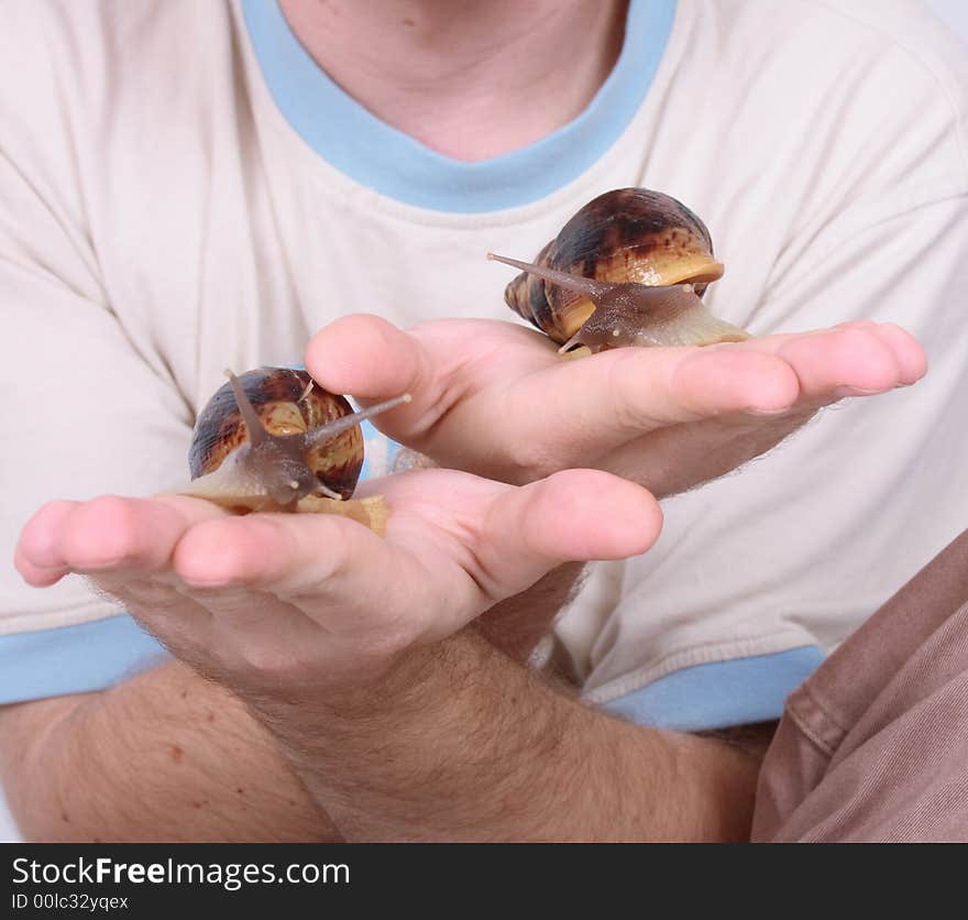 Two snails on the human hands (detail)