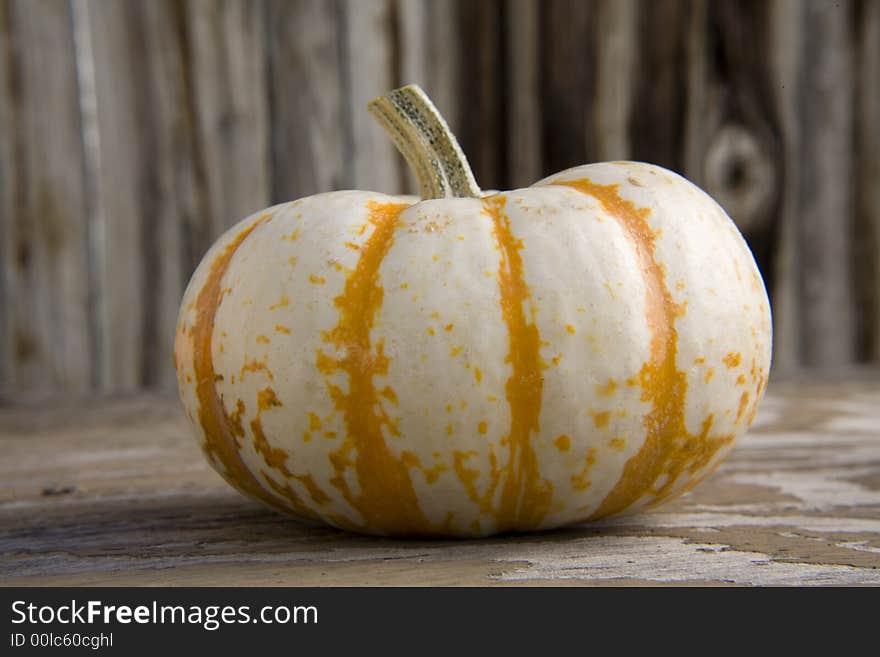 Close-up of a single white pumpkin. Close-up of a single white pumpkin