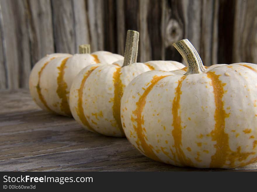 Three white pumpkins in a row. Three white pumpkins in a row