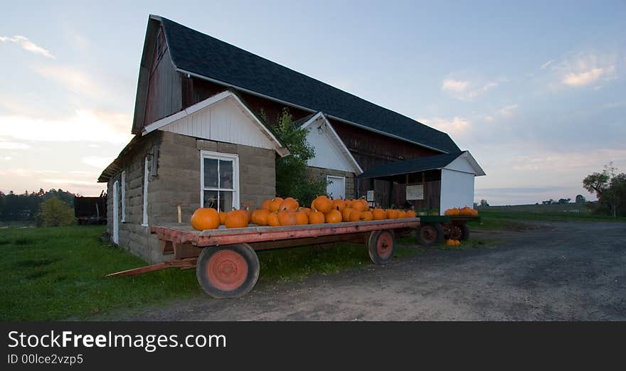 Pumpkins at a Farm Stand