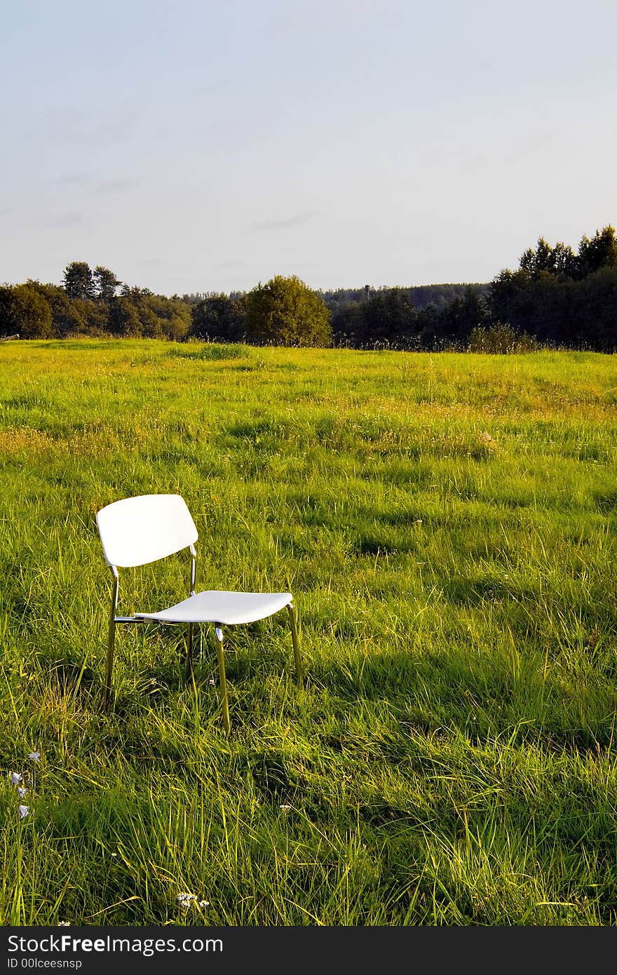 White chair at the grass