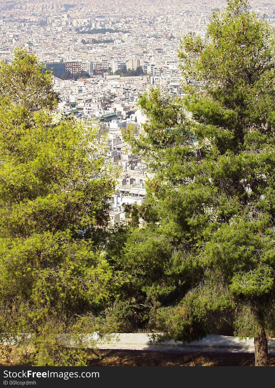 City view through pine forest. City view through pine forest