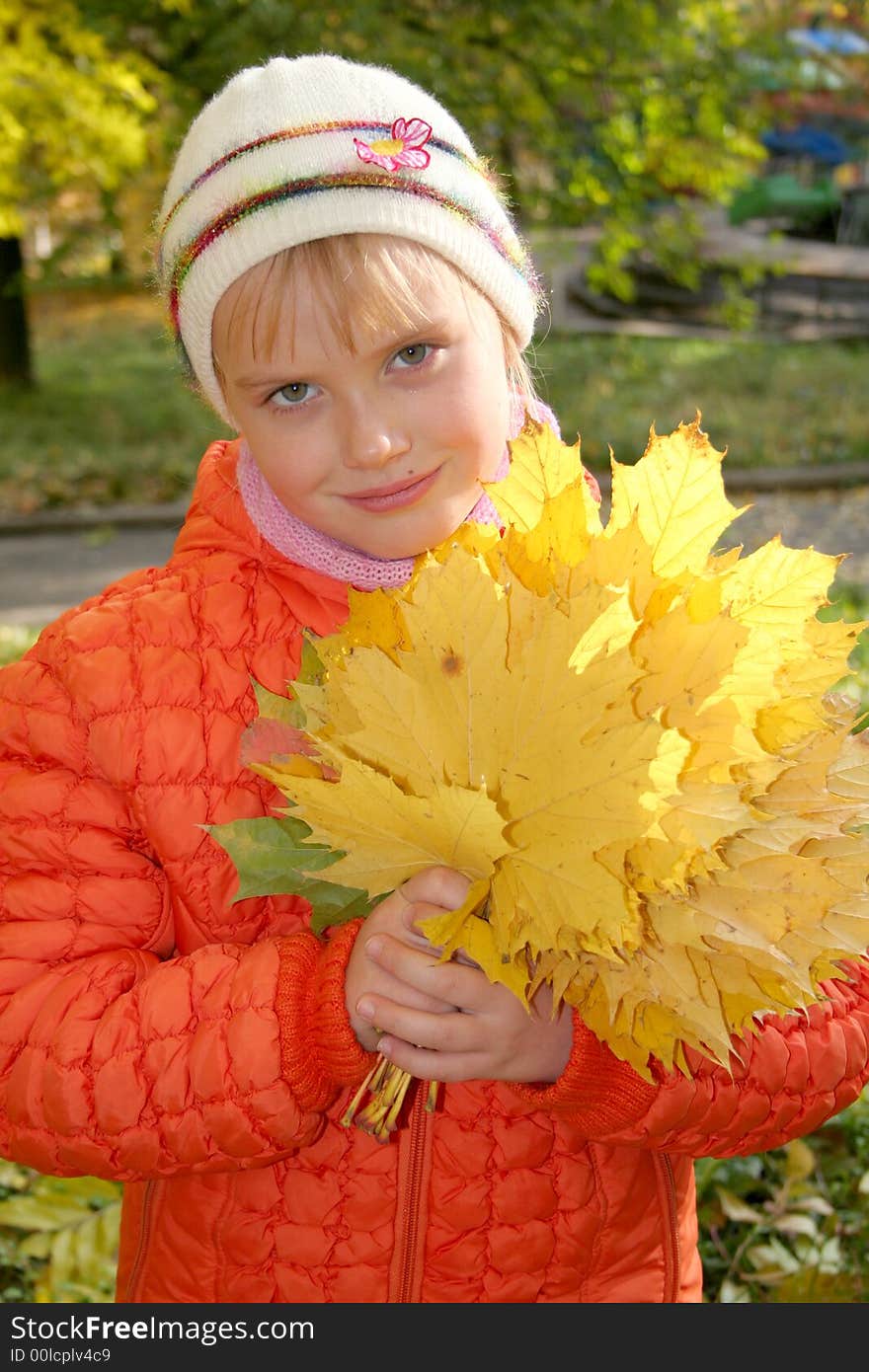 Girl with autumn leafs in hands. Girl with autumn leafs in hands