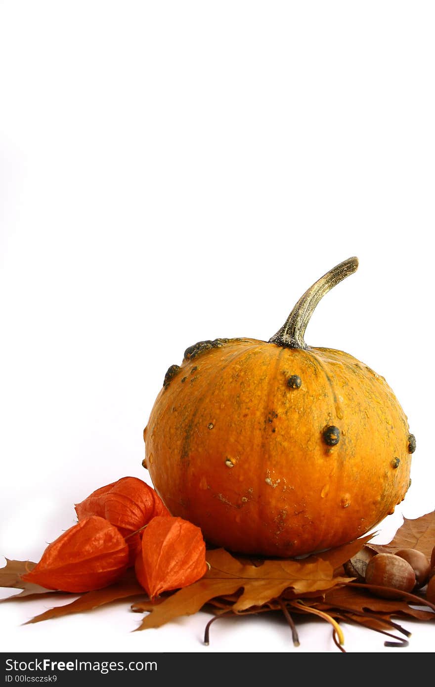 Pumpkins and gourds on isolated on white background with fall leaves frame